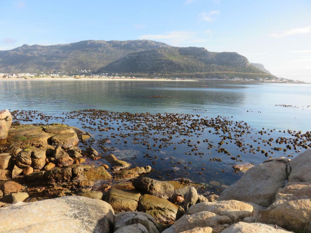 Apartament On-The-Rocks Fish Hoek Zewnętrze zdjęcie